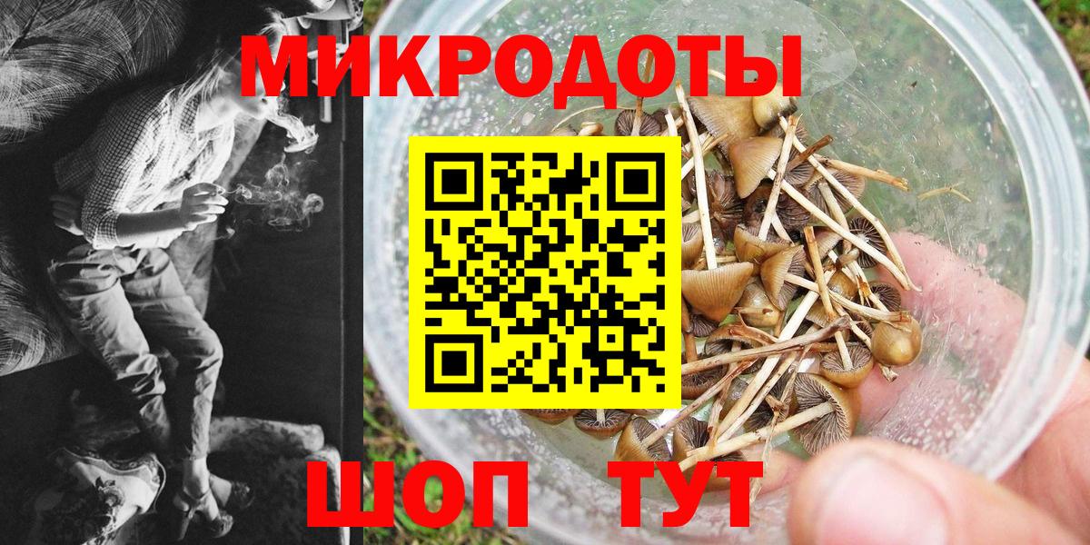 Псилоцибиновые грибы Cubensis Реутов