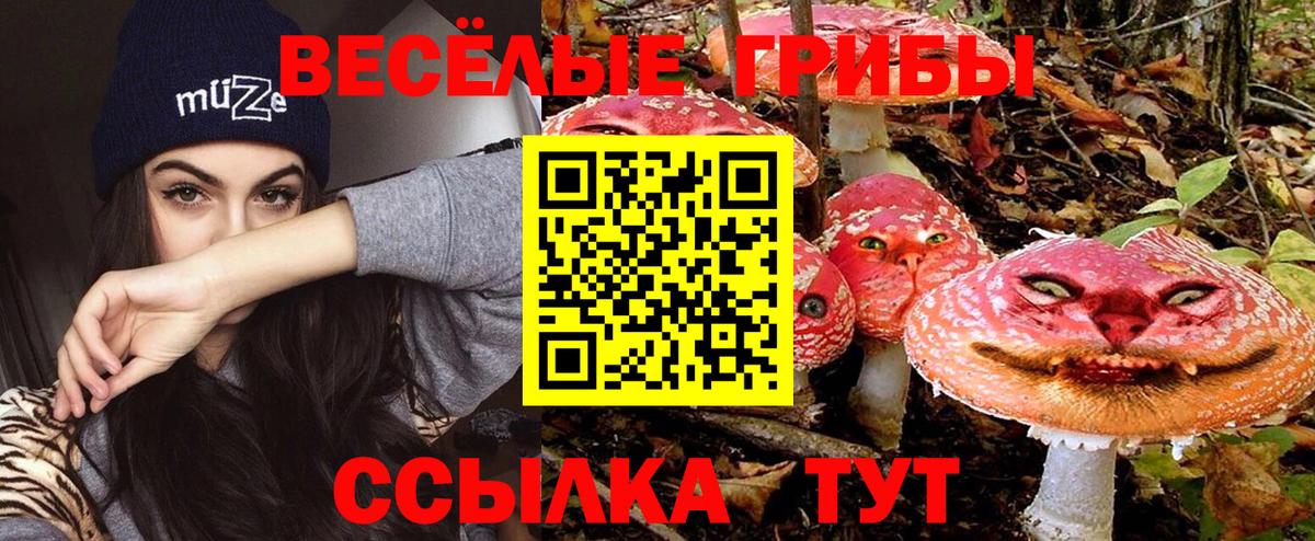 купить   Псилоцибиновые грибы GOLDEN TEACHER  Реутов  Вход с VPN  Галлюциногенные грибы мухоморы 